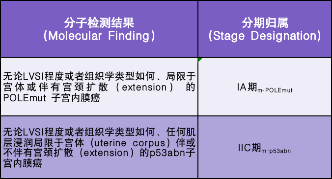 2023 子宫内膜癌 FIGO 新分期是更简洁还是更复杂了呢？