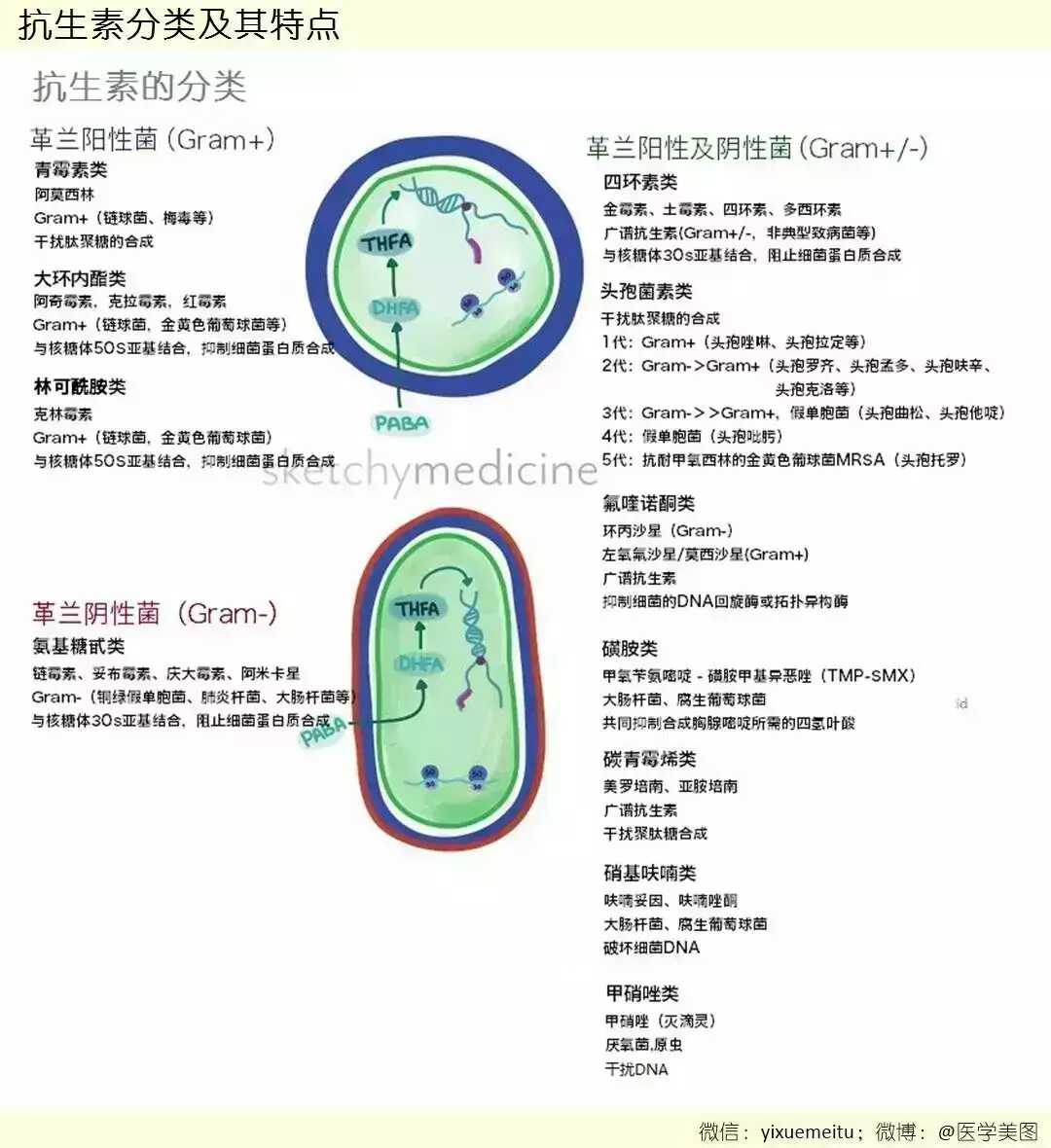 病例图片