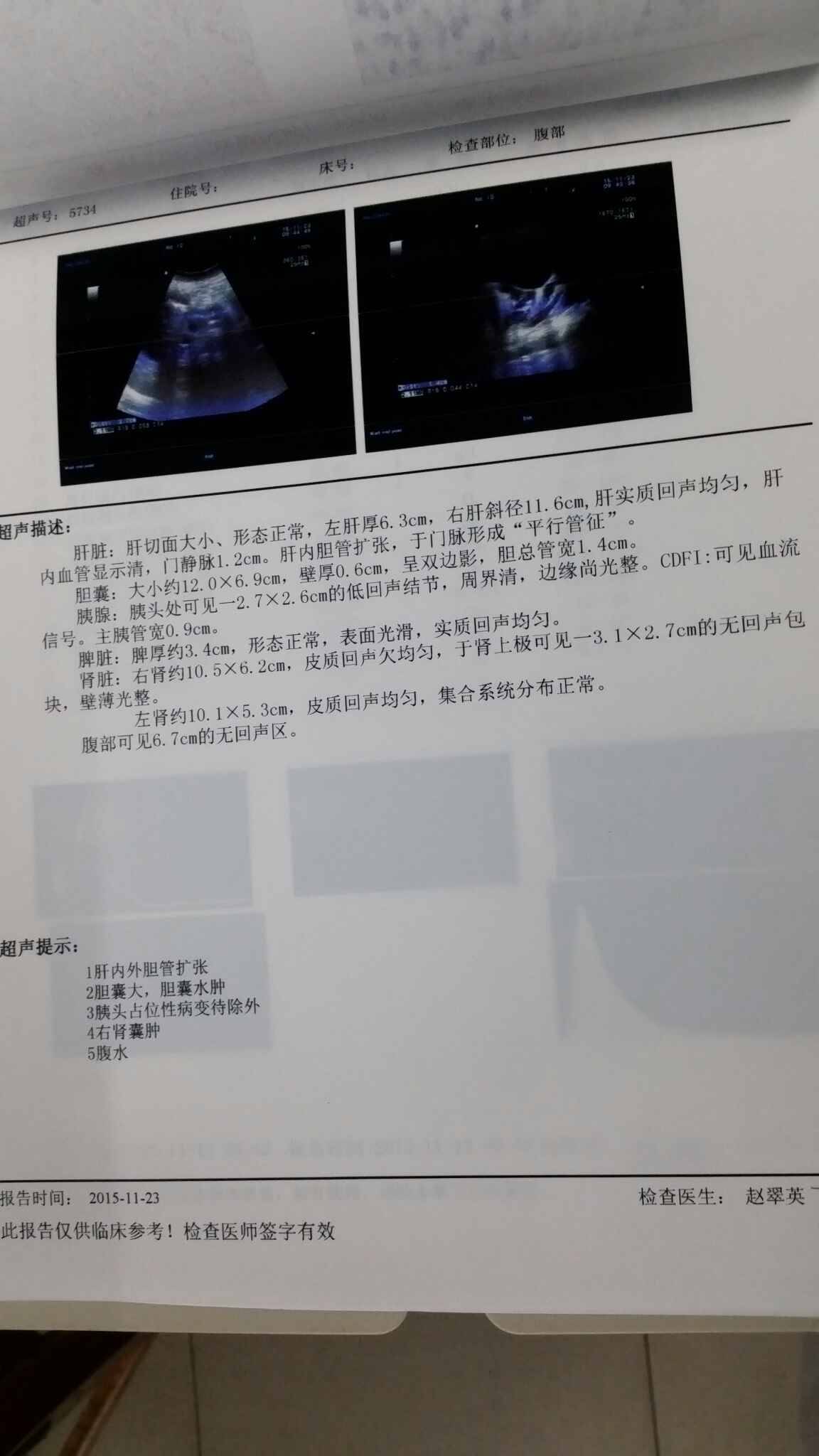 病例图片
