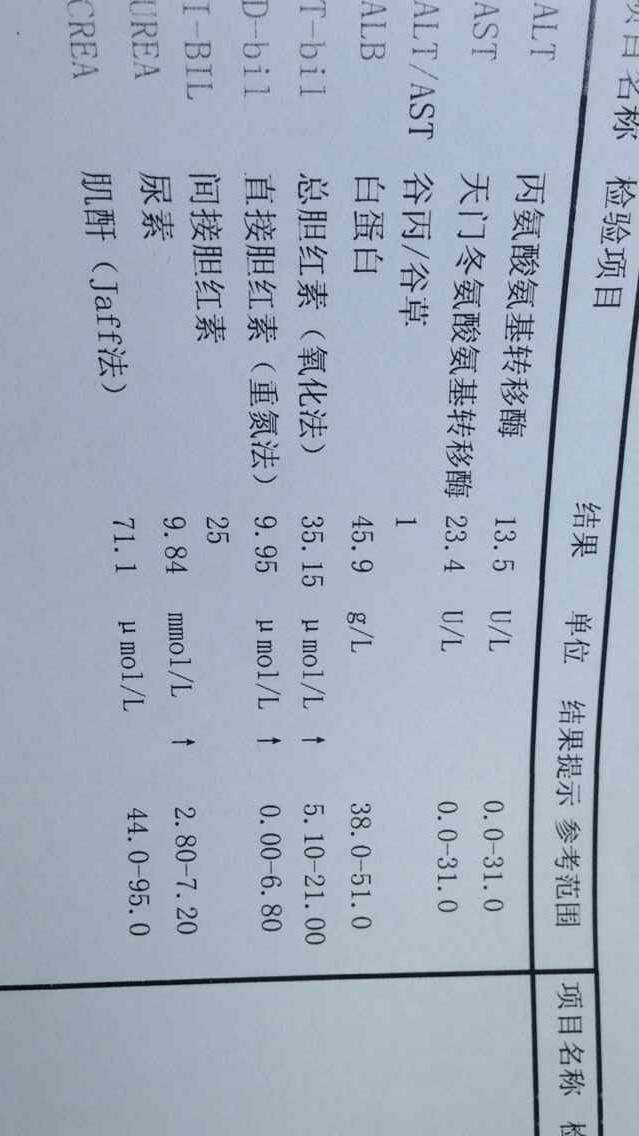 病例图片