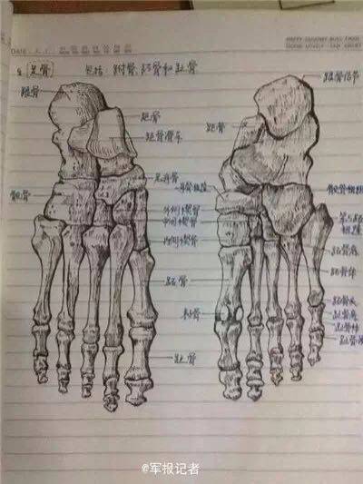 病例图片