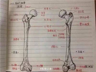 病例图片