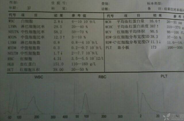 病例图片