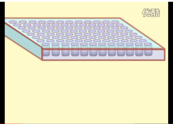 医学动画—酶联免疫吸附法