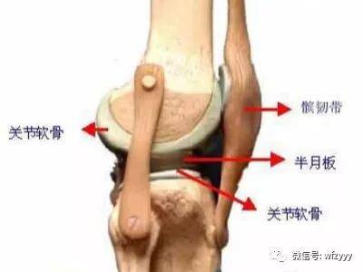 4,膝关节韧带损伤