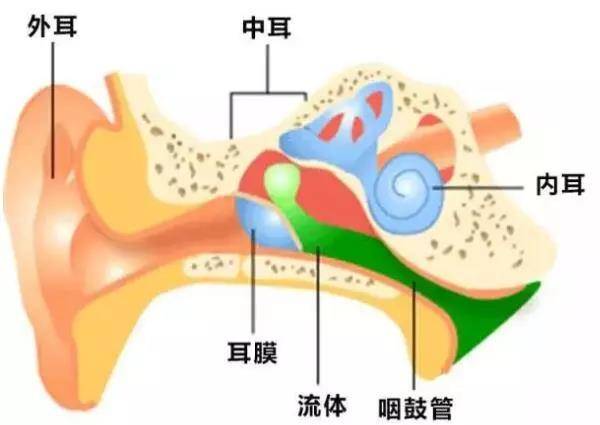 这烦人的中耳炎,我该拿你怎么办?