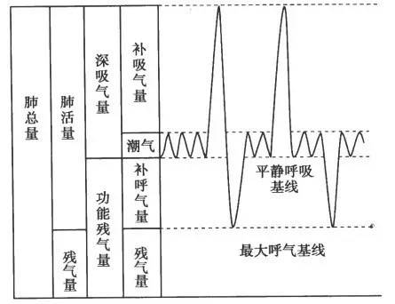 医学新闻 正文 肺容量指标间的相互关系如下图所示,一次平静呼吸时所