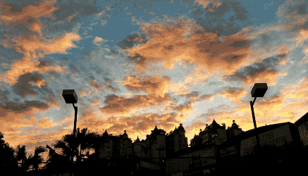 太酷了用摄影技术来选择胚胎靠谱