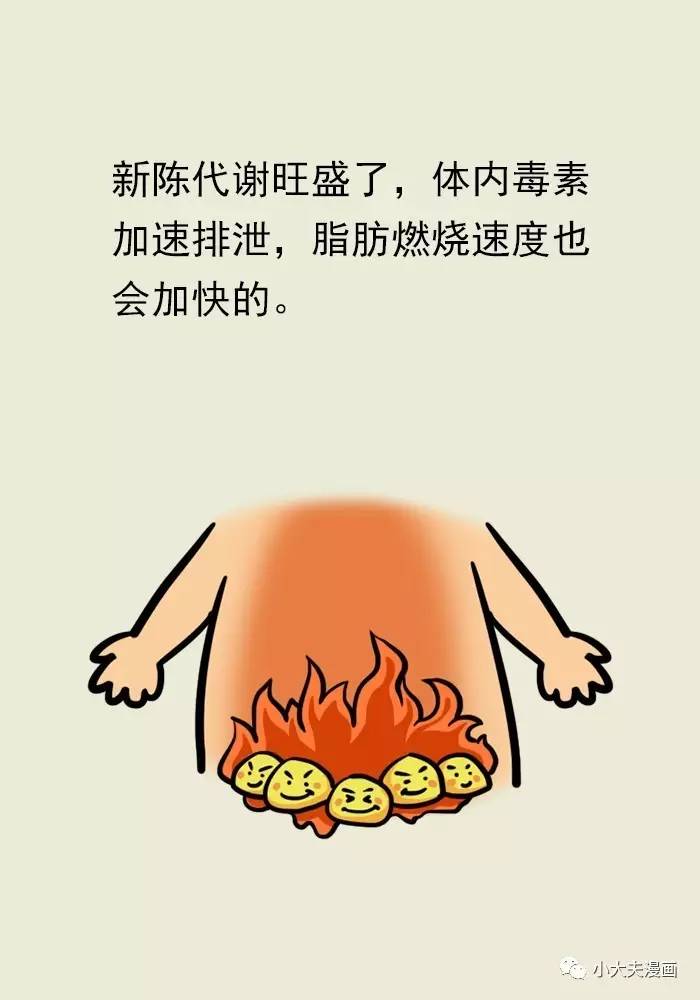 越减越肥那是因为你不知道这些