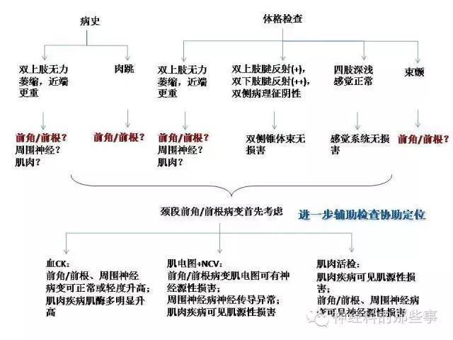 反射  ,四肢深浅感觉检查正常,双侧 hoffman 征阴性,双侧掌颌反射阴性