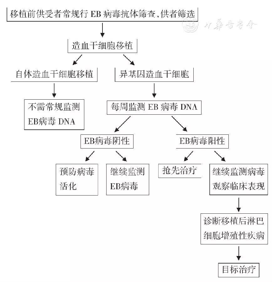 造血干细胞移植后淋巴细胞增殖性疾病诊治的流程图