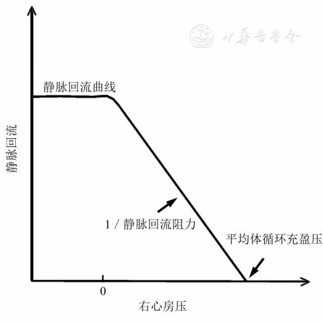 静脉回流曲线