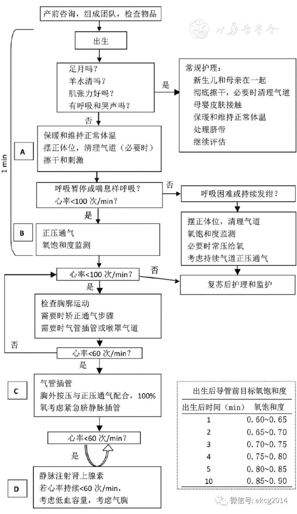 中国新生儿复苏指南2016年北京修订上