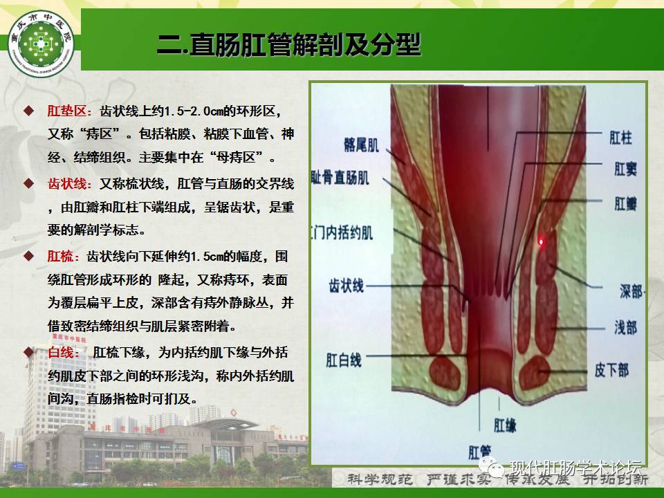 mri可以准确对于瘘管,瘘口及肛周脓肿与肛门周围肌肉,肌间隙的位置