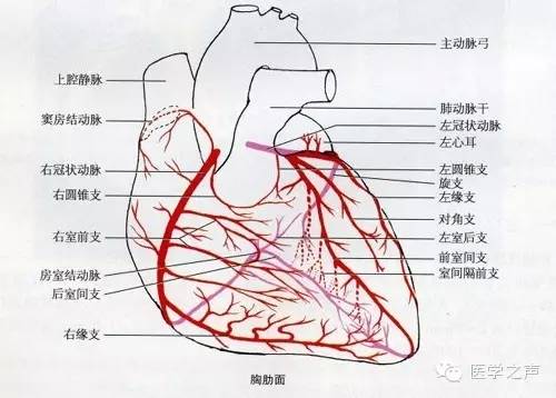②局前345    局限前壁v3v4v5   ③前侧567