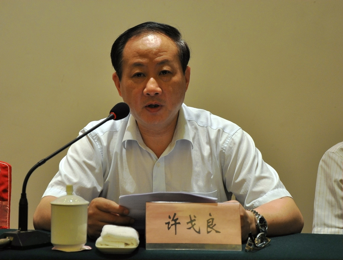 人大代表许戈良:全民免费医疗可解医改难题