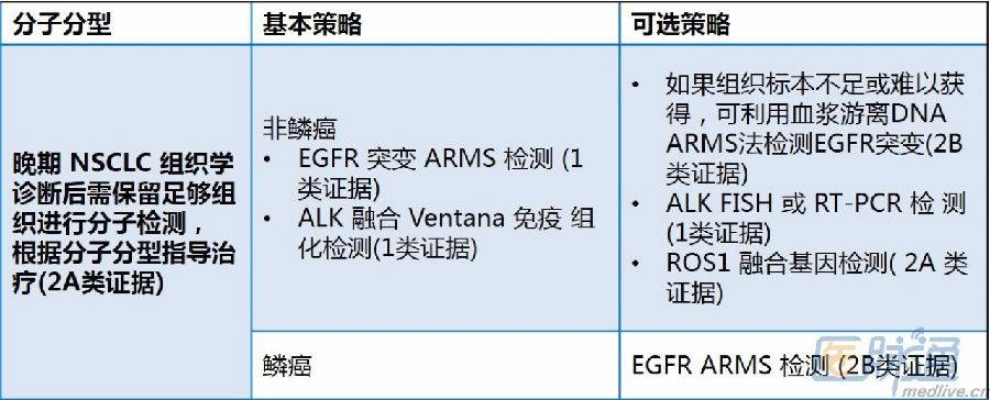 [csco2016.v1肺癌指南精选特辑]原发性肺癌的诊断和分型